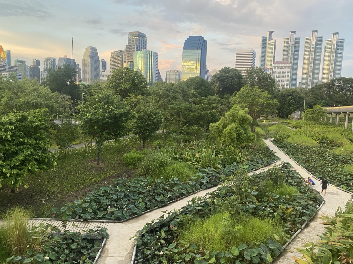 Bangkok Park Wetlands with City Skyline – พื้นที่ชุ่มน้ำสวนกรุงเทพฯ วิวตึกสูง